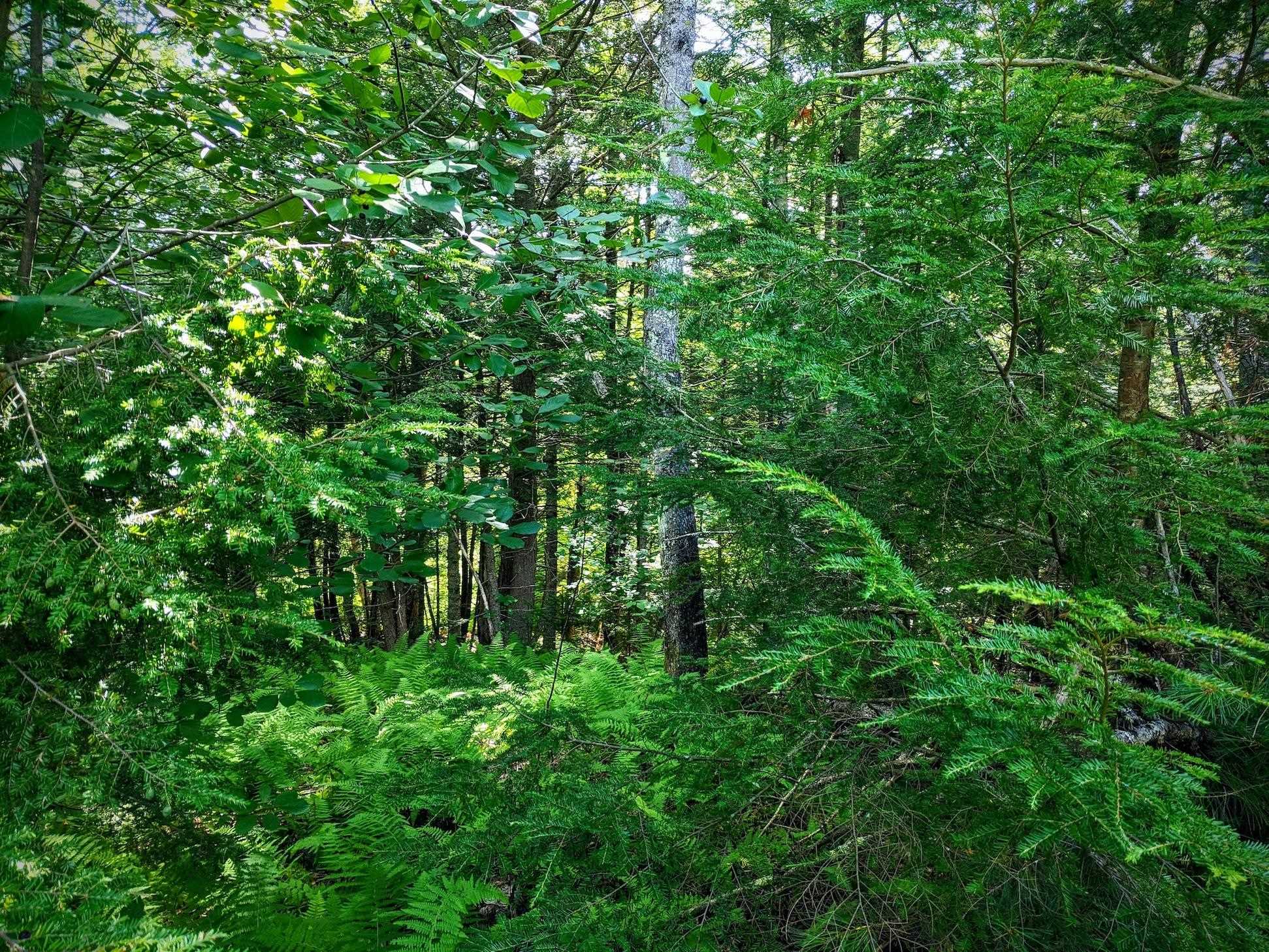 0 Brook View Road Newport, NH 03773 - Photo 6 of 11