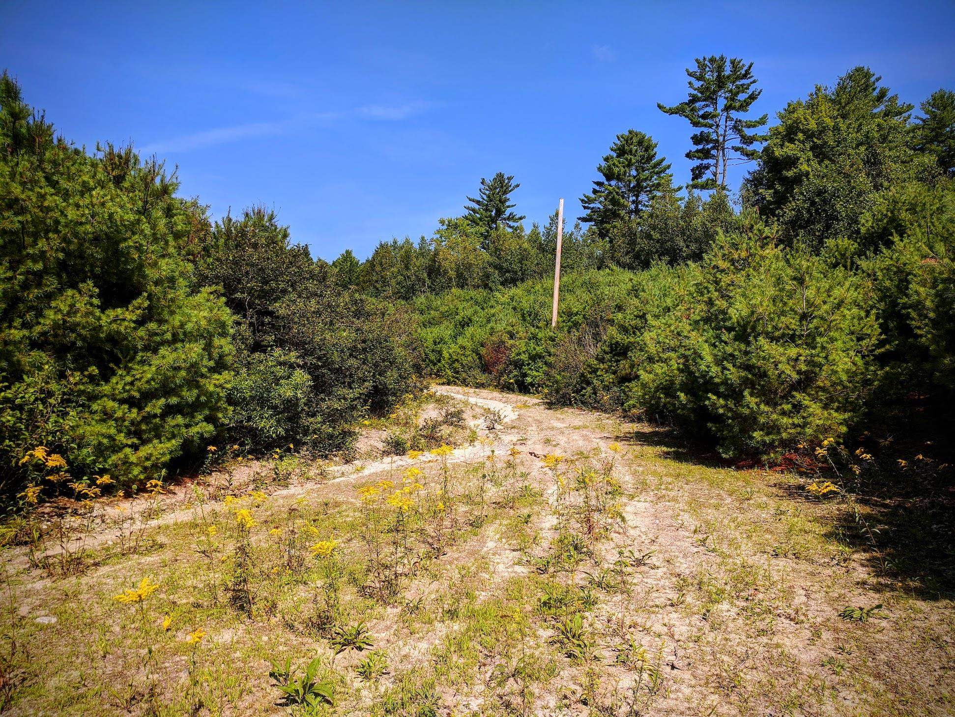 0 Brook View Road Newport, NH 03773 - Photo 7 of 11