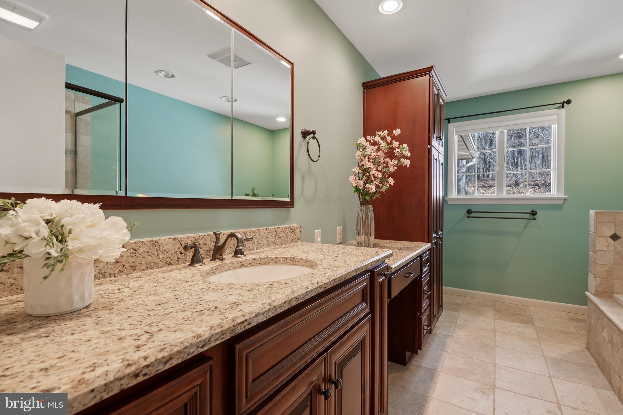 240 Pine View Drive Denver, PA 17517 - Photo 44 of 81 Hallway Bathroom with a heated floor.