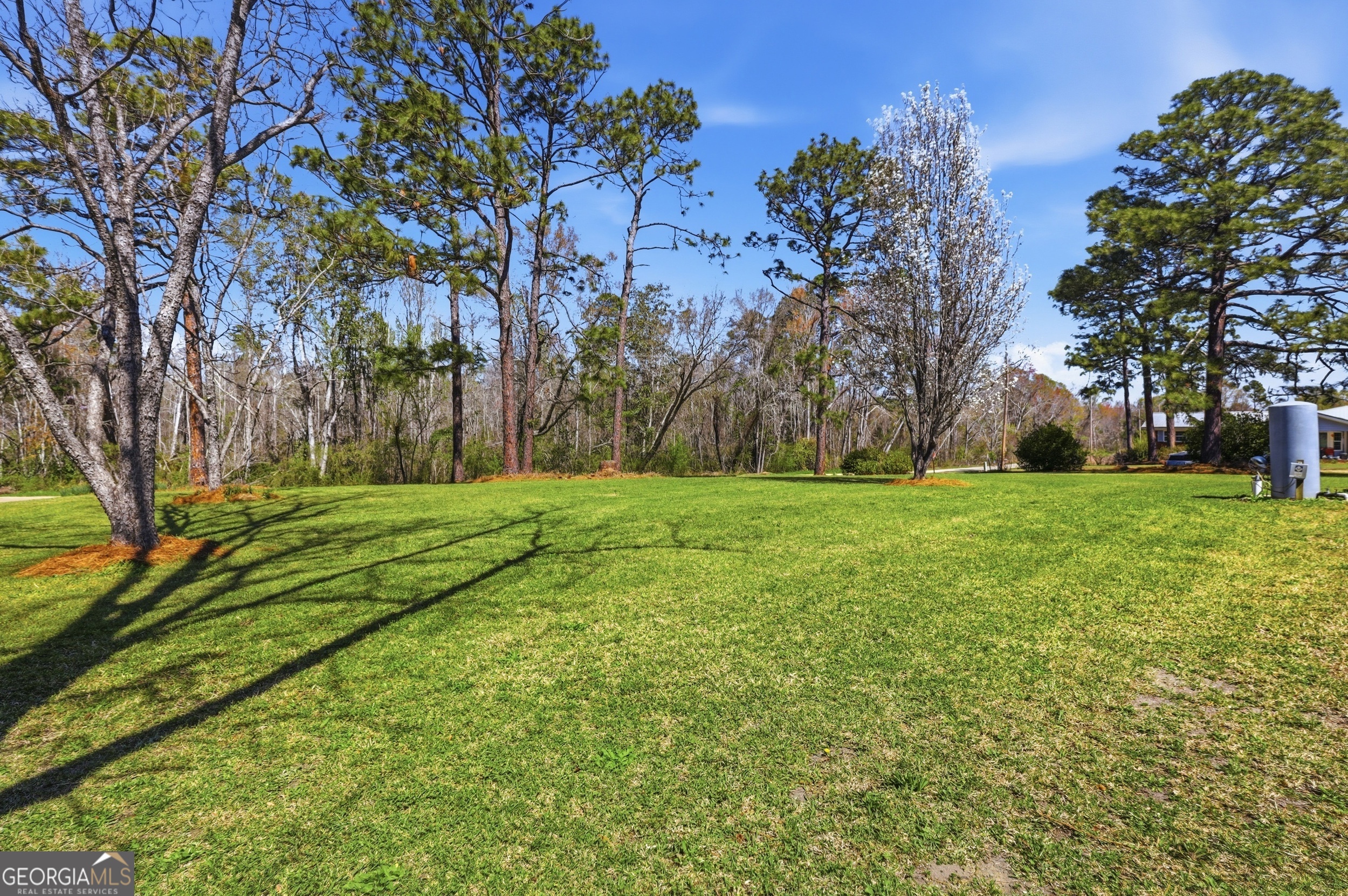 333 Rainbow Ridge Swainsboro, GA 30401 - Photo 36 of 46 a view of green field