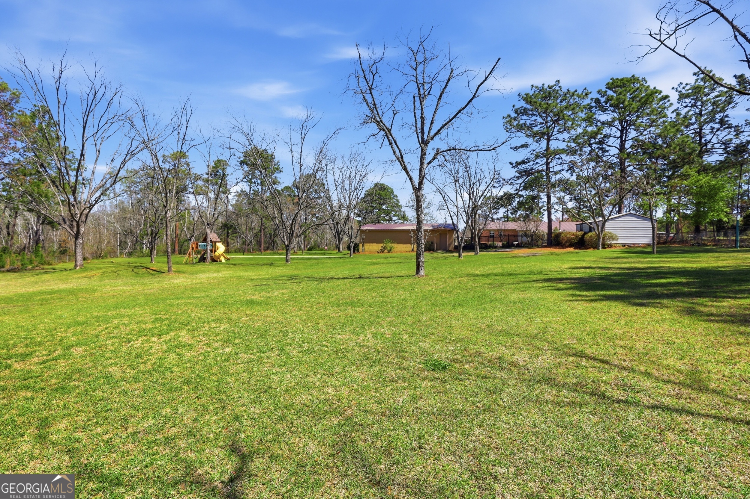 333 Rainbow Ridge Swainsboro, GA 30401 - Photo 38 of 46 a tall tree in middle of green field