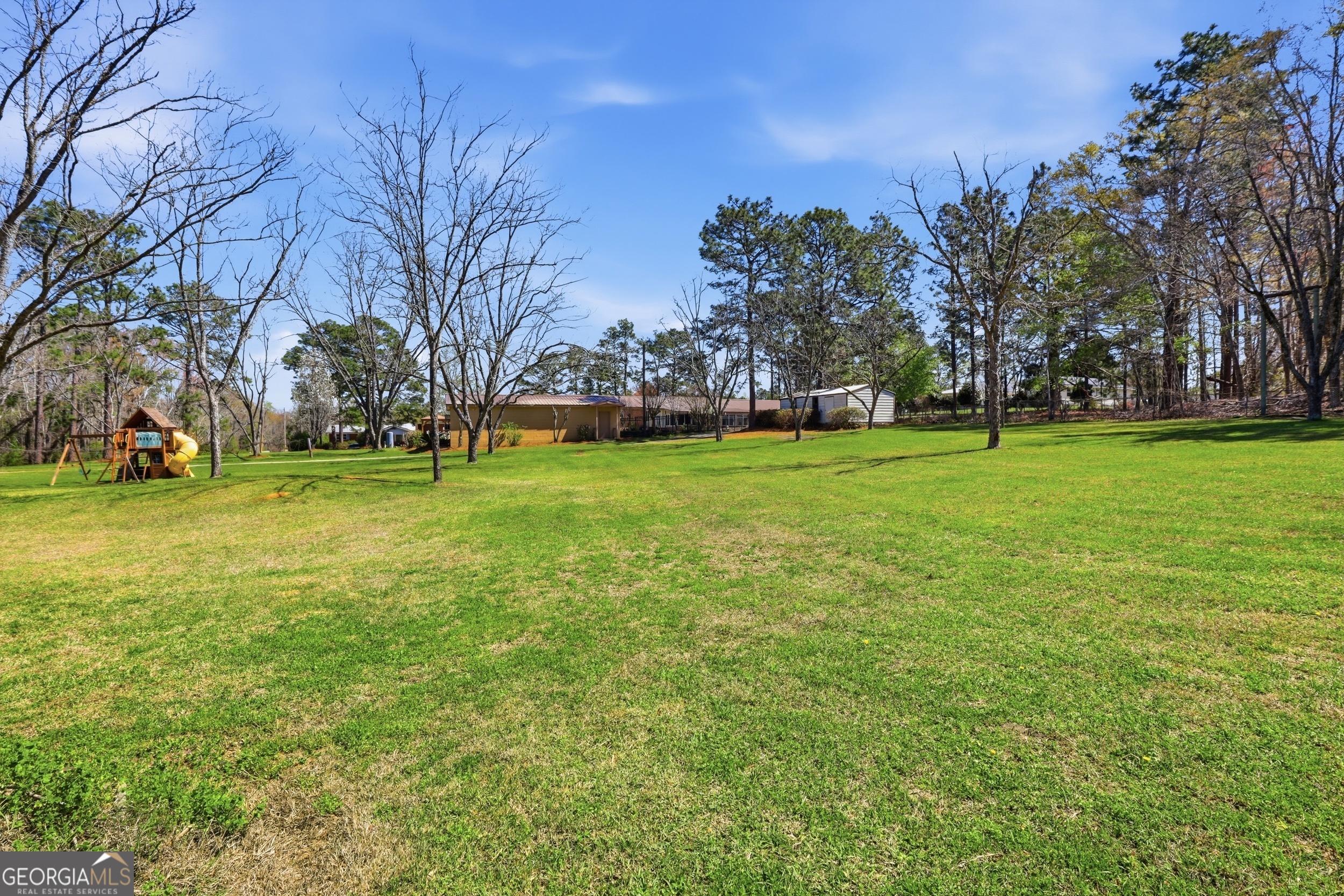 333 Rainbow Ridge Swainsboro, GA 30401 - Photo 39 of 46 a view of a field with tree in the background