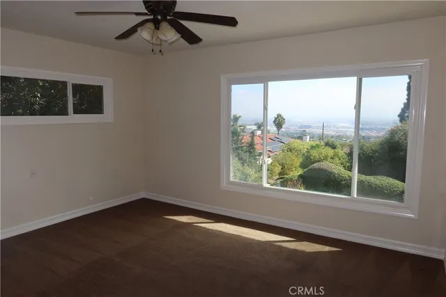 a view of a yard with plants and large trees