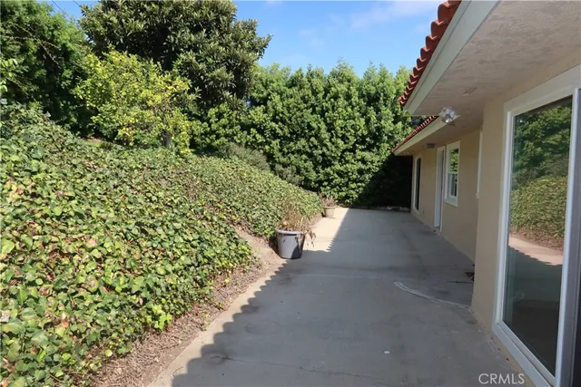 a view of a yard with plants