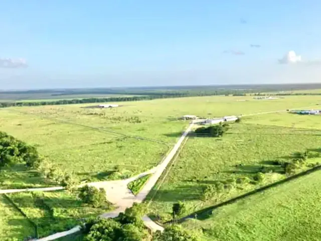 $239,999 | 565 County Road 164, Boling, TX 77420