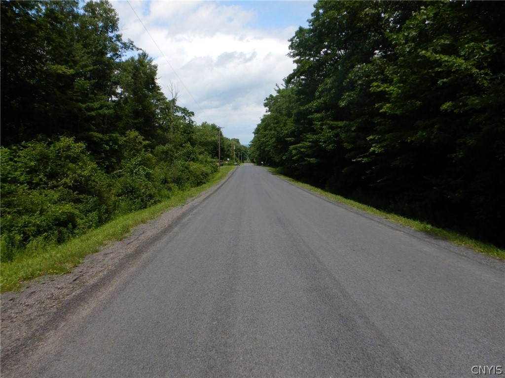 Bull Hill Road Newfield, NY 14867 - Photo 22 of 36