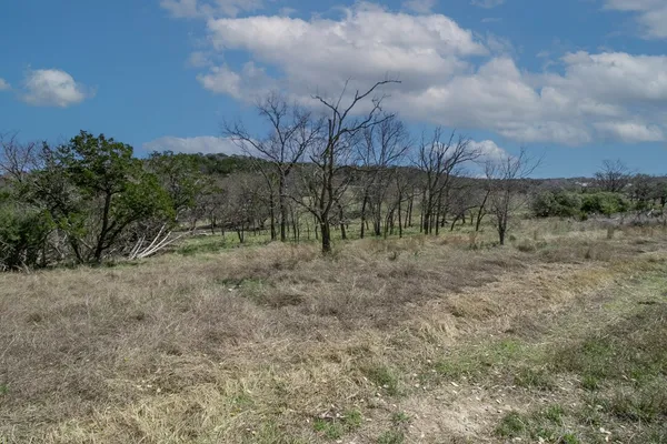a view of a yard with a tree
