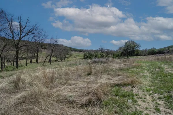 a view of a field with trees in background