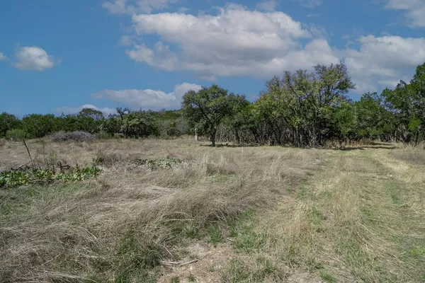 a view of a dry yard with trees