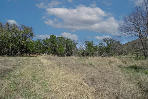 a view of a dry yard with trees
