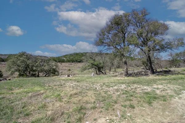 a view of a dry yard with trees
