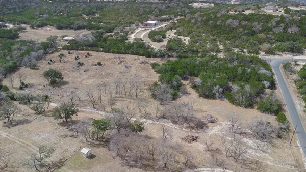 a view of a dry yard with lots of trees