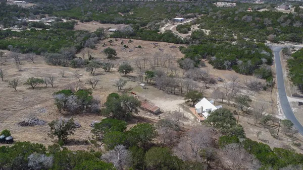 a view of a dry yard with lots of trees