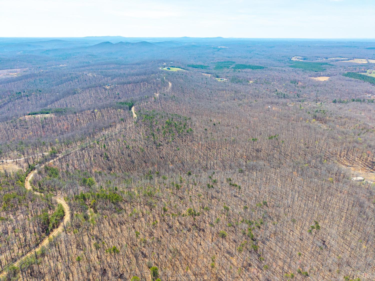 0 Larkin Mountain Road Amherst, VA 24521 - Photo 2 of 35