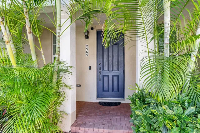 a close up of a plant in a garden