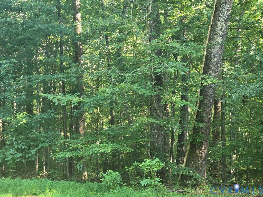 1545 Cumberland Road Farmville, VA 23901 - Photo 13 of 22