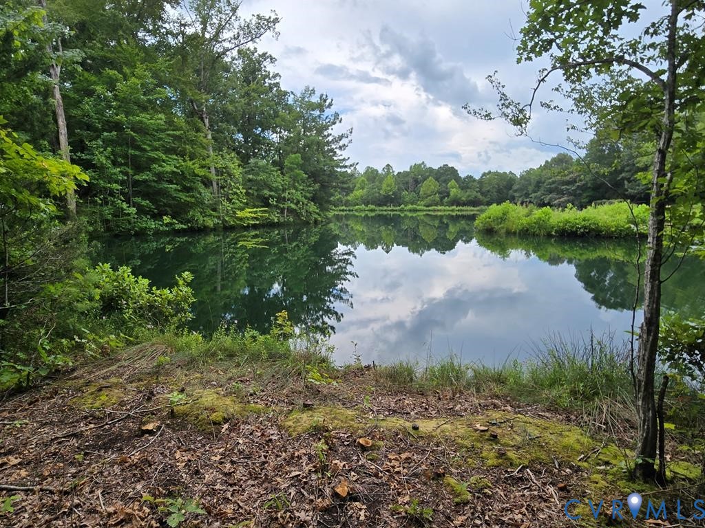 1545 Cumberland Road Farmville, VA 23901 - Photo 14 of 22