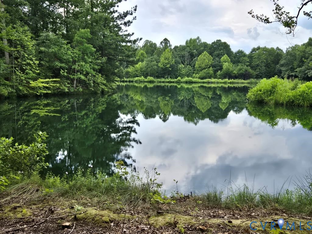 1545 Cumberland Road Farmville, VA 23901 - Photo 18 of 22