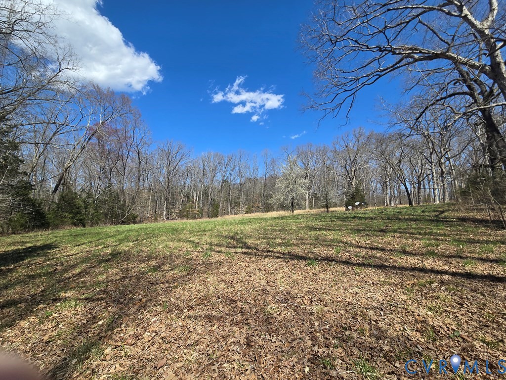1545 Cumberland Road Farmville, VA 23901 - Photo 3 of 22