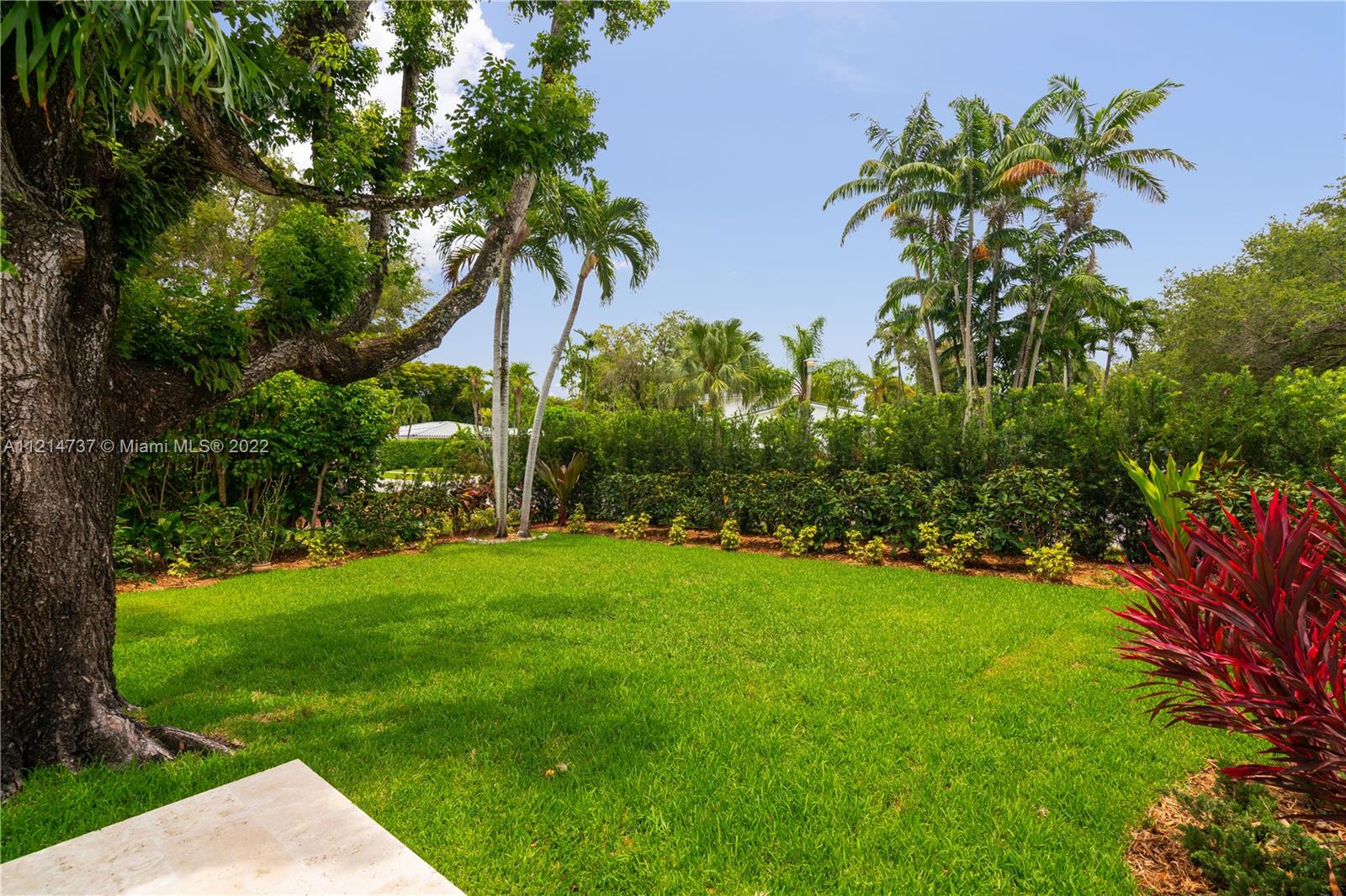 3731 Battersea Road Miami, FL 33133 - Photo 30 of 44 a view of a garden with a tree