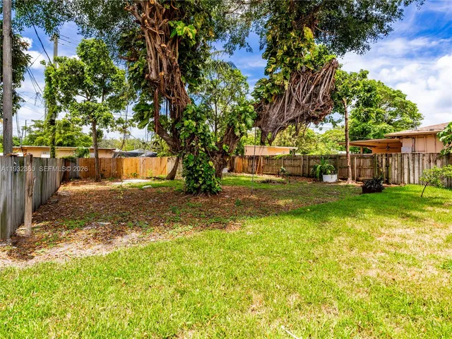 a view of a yard with plants and large trees