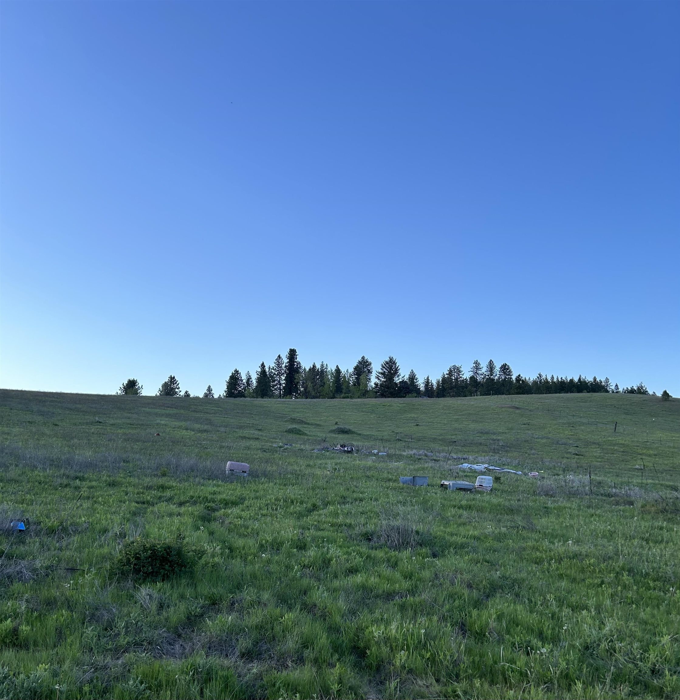117-xx East Tallman Road Chattaroy, WA 99003 - Photo 1 of 11