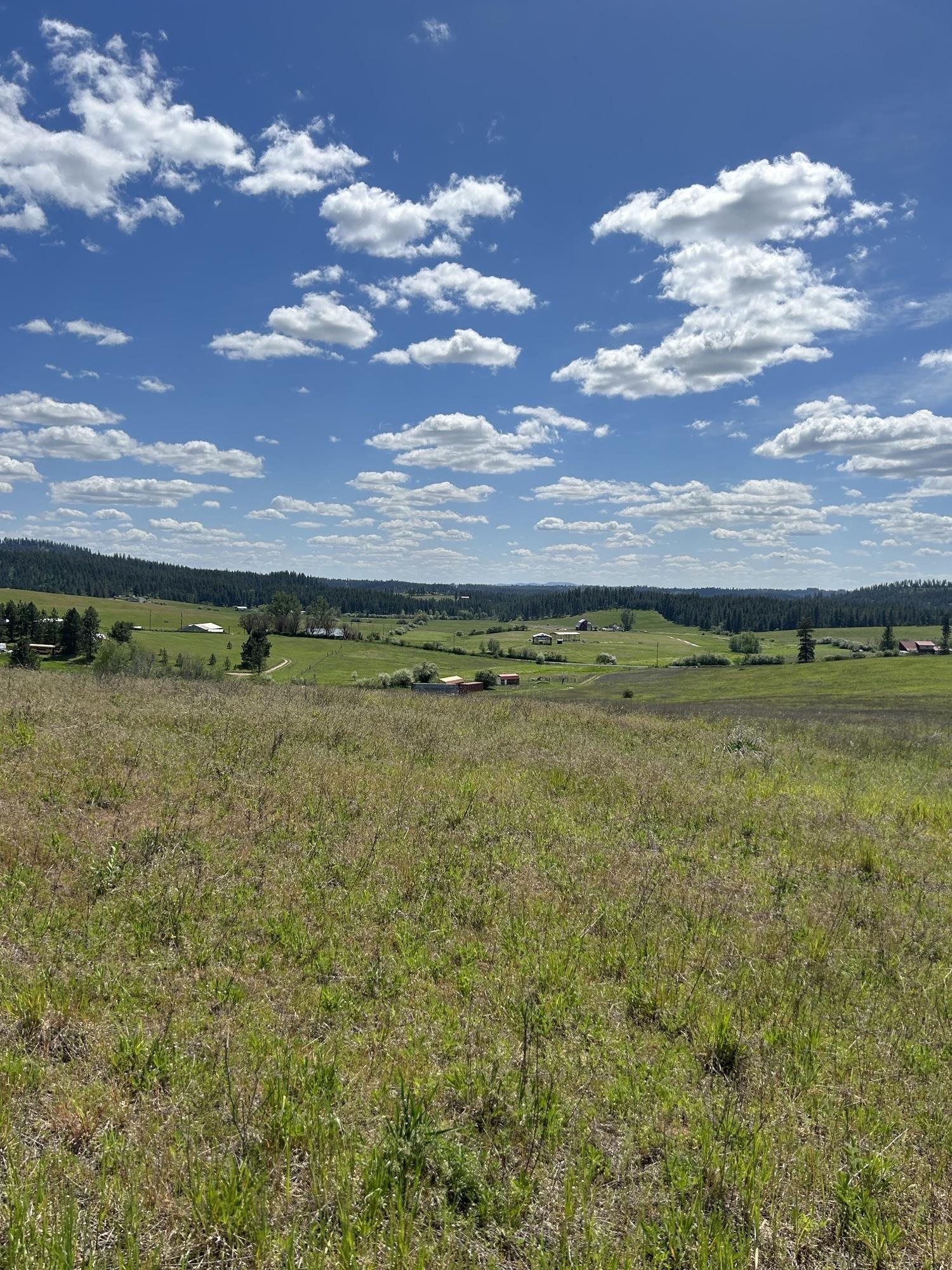 117-xx East Tallman Road Chattaroy, WA 99003 - Photo 2 of 11