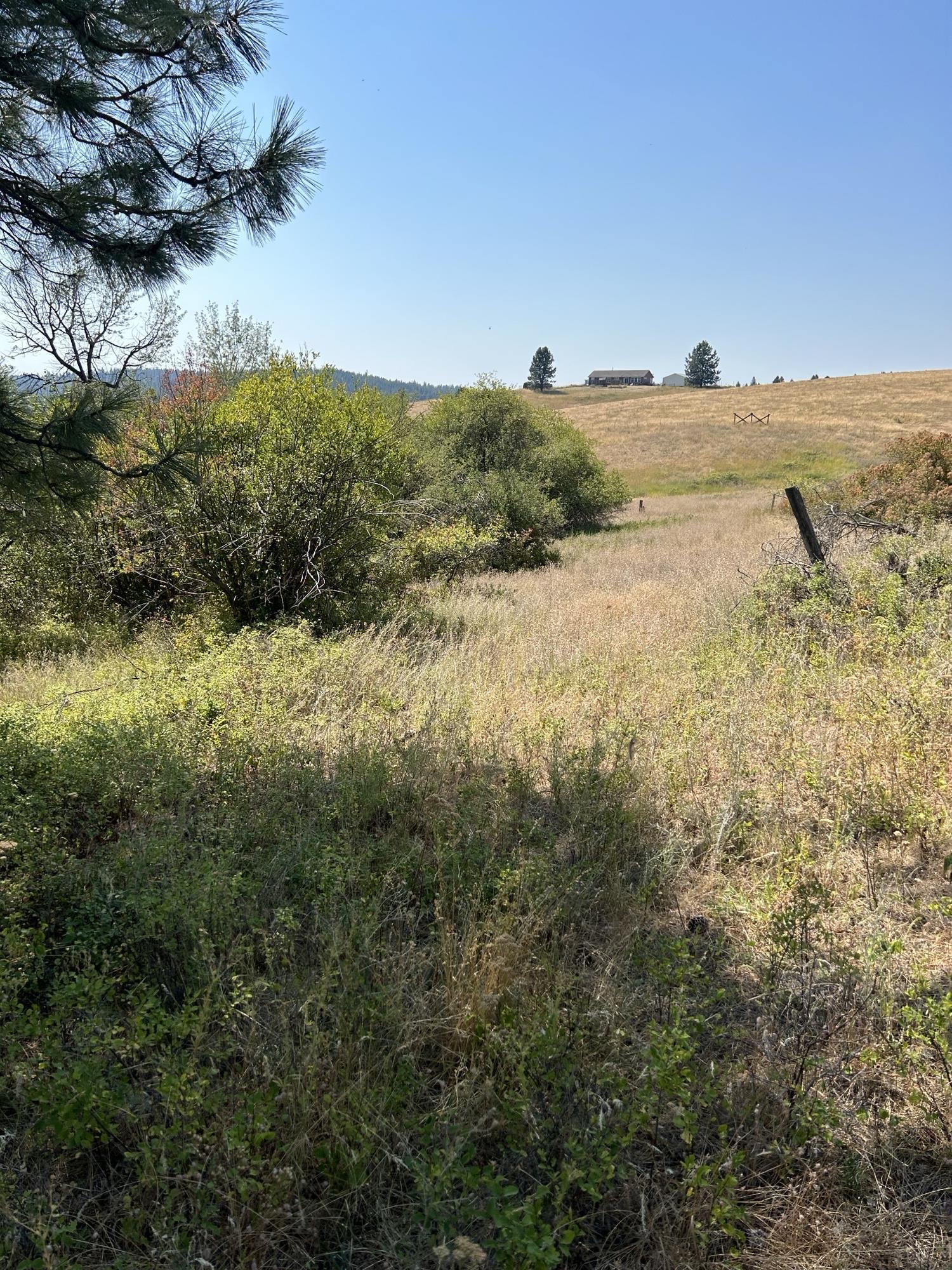 117-xx East Tallman Road Chattaroy, WA 99003 - Photo 3 of 11