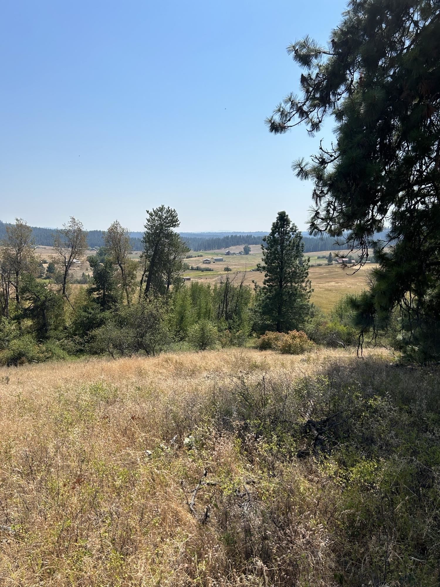 117-xx East Tallman Road Chattaroy, WA 99003 - Photo 5 of 11