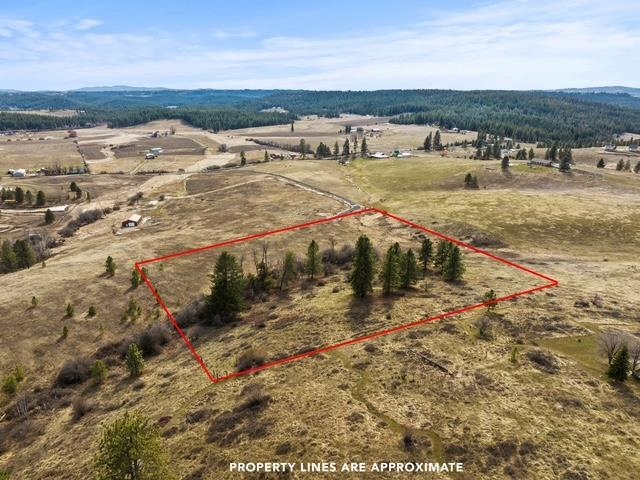 117-xx East Tallman Road Chattaroy, WA 99003 - Photo 6 of 11