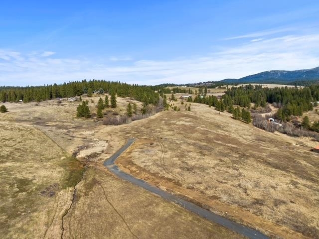 117-xx East Tallman Road Chattaroy, WA 99003 - Photo 9 of 11