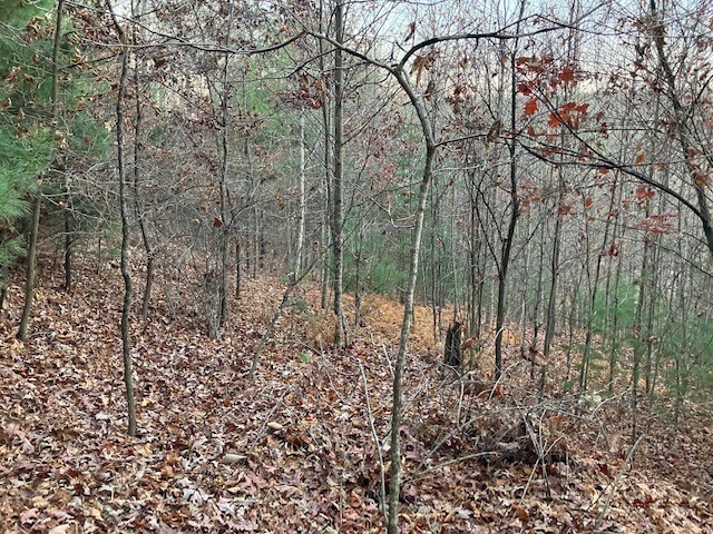 Old Deer Trace Road Todd, NC 28684 - Photo 3 of 4