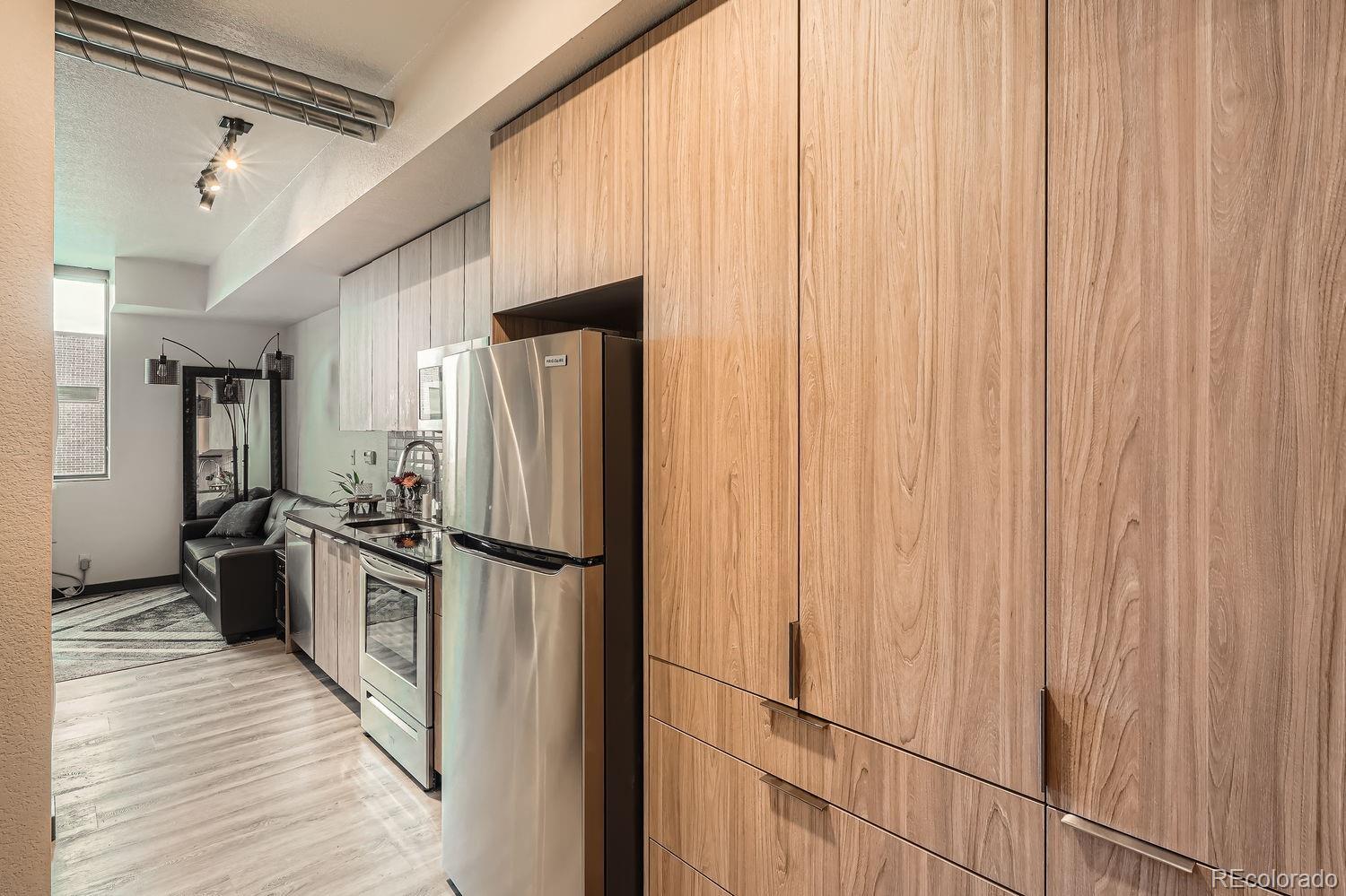 603 Inca Street, Unit 528 Denver, CO 80204 - Photo 7 of 17 Gallery Image 7