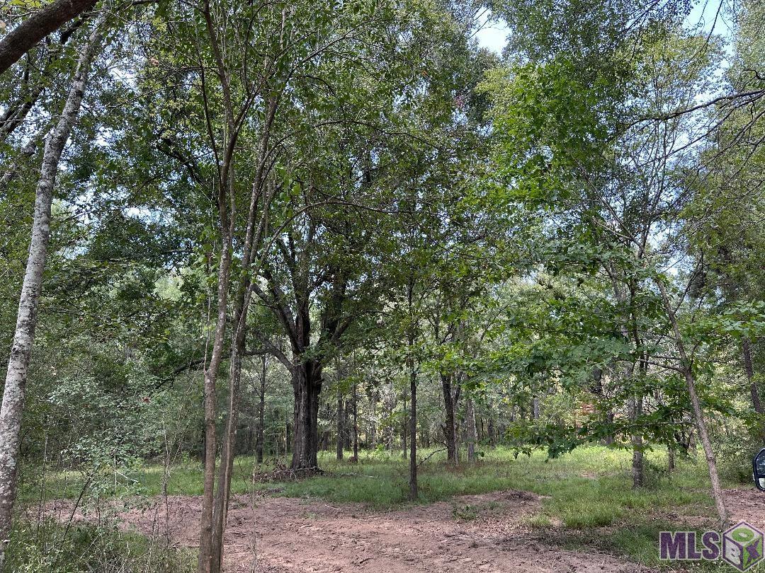 12615 Gurney Road Baker, LA 70714 - Photo 1 of 7