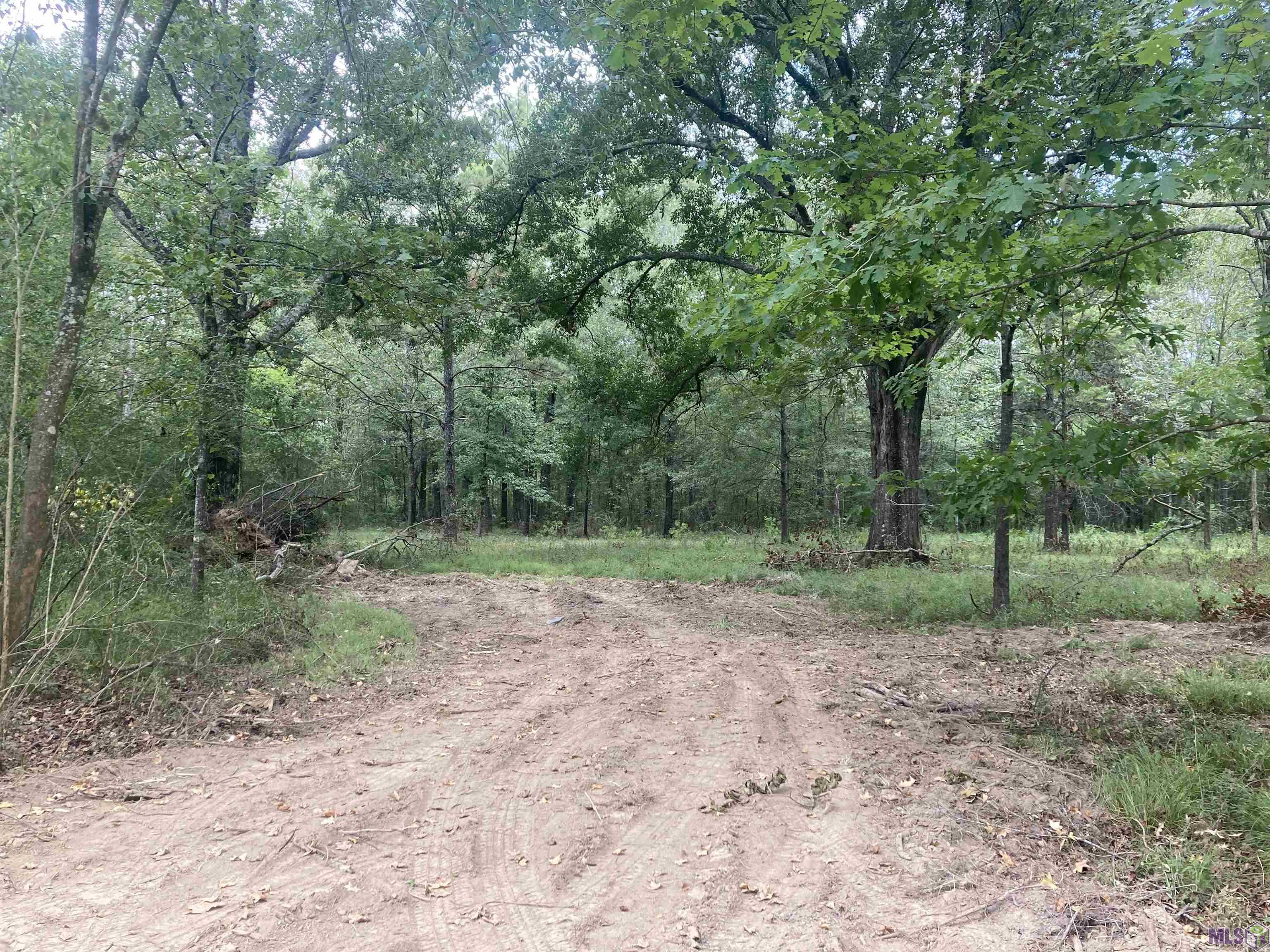 12615 Gurney Road Baker, LA 70714 - Photo 5 of 7