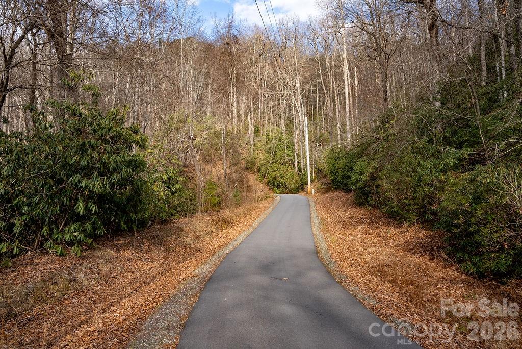 Lot 48 Fox Den Road Brevard, NC 28712 - Photo 13 of 14 a view of a pathway with a pathway