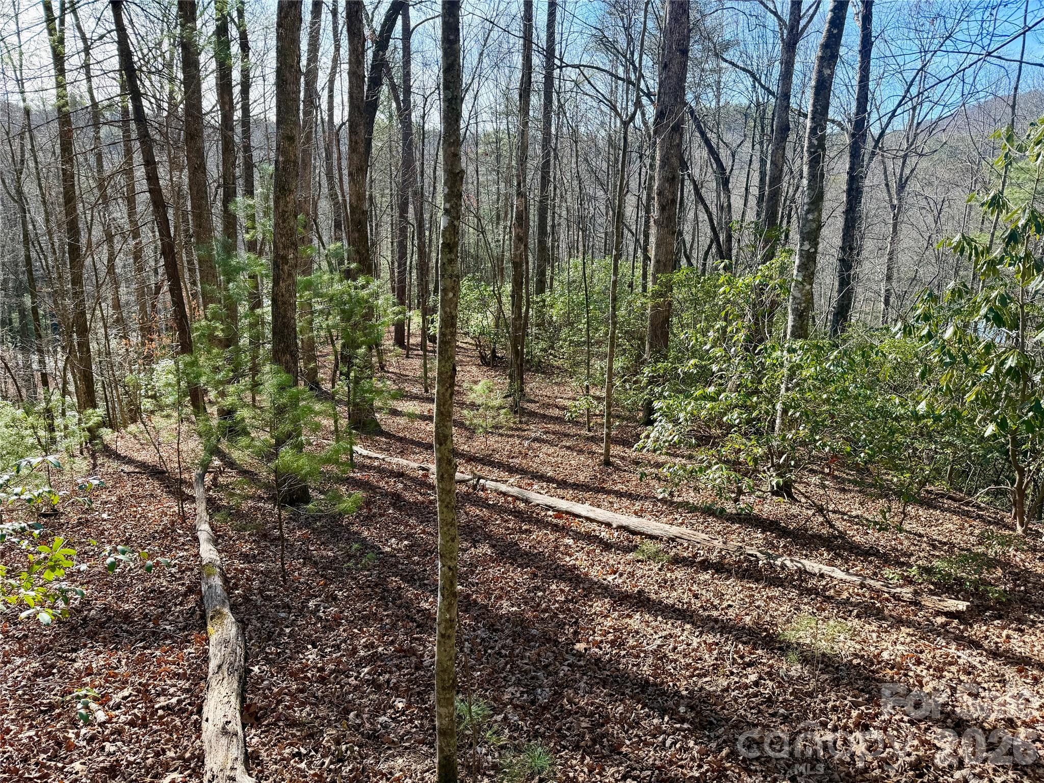 Lot 48 Fox Den Road Brevard, NC 28712 - Photo 2 of 14 a view of forest