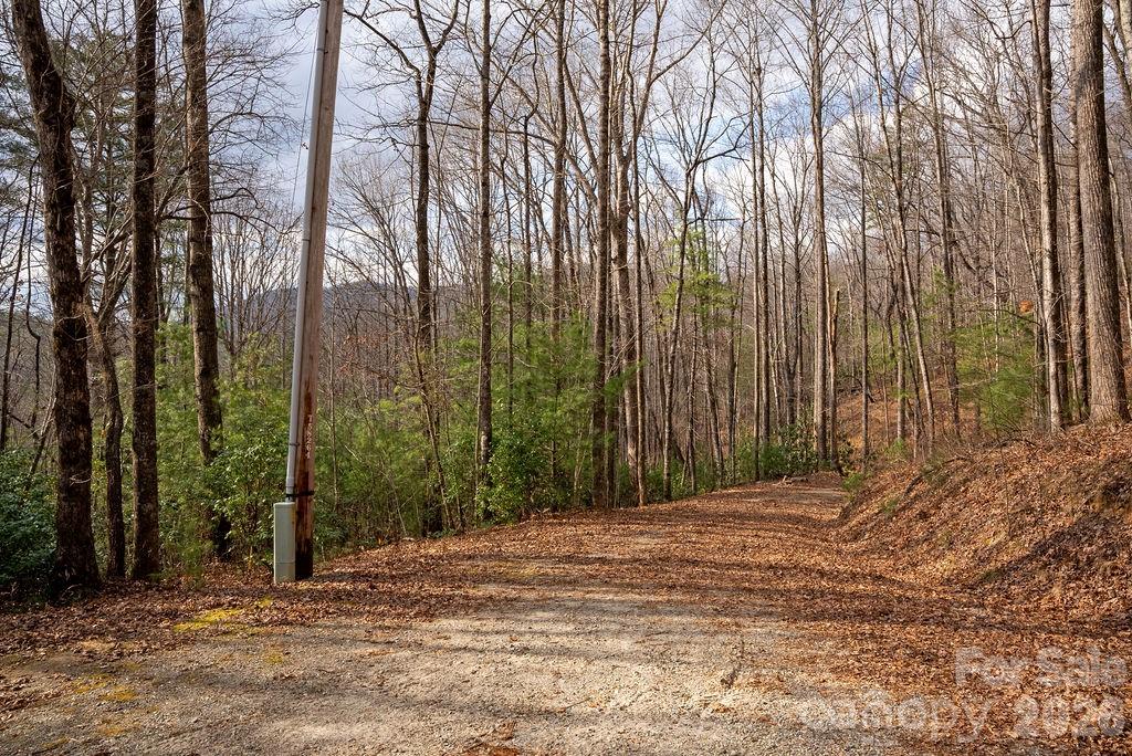 Lot 48 Fox Den Road Brevard, NC 28712 - Photo 3 of 14