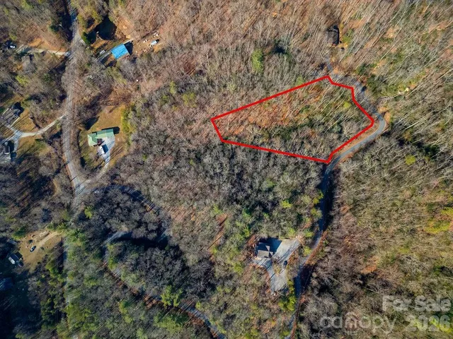 a view of a backyard with plants and a park