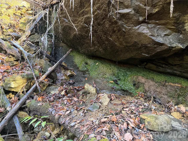 a view of outdoor space and garden view