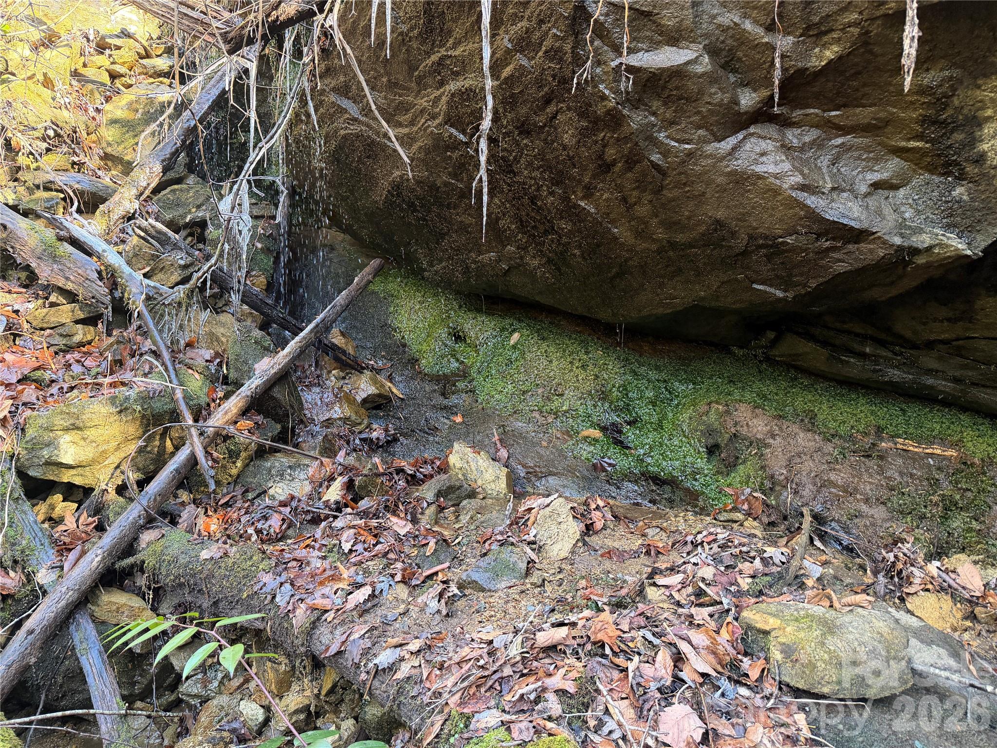 Lot 48 Fox Den Road Brevard, NC 28712 - Photo 9 of 14 a view of a backyard with plants and a park