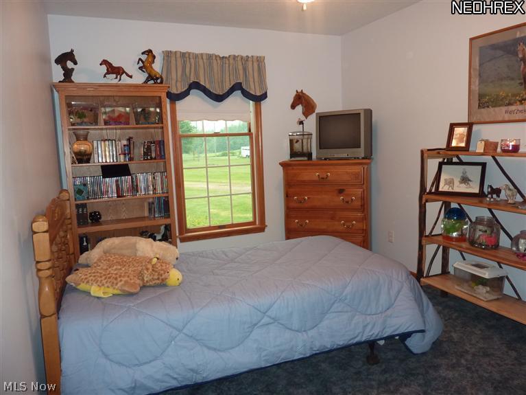 4955 Gibbs Road Andover, OH 44003 - Photo 11 of 24 Gallery Image 11