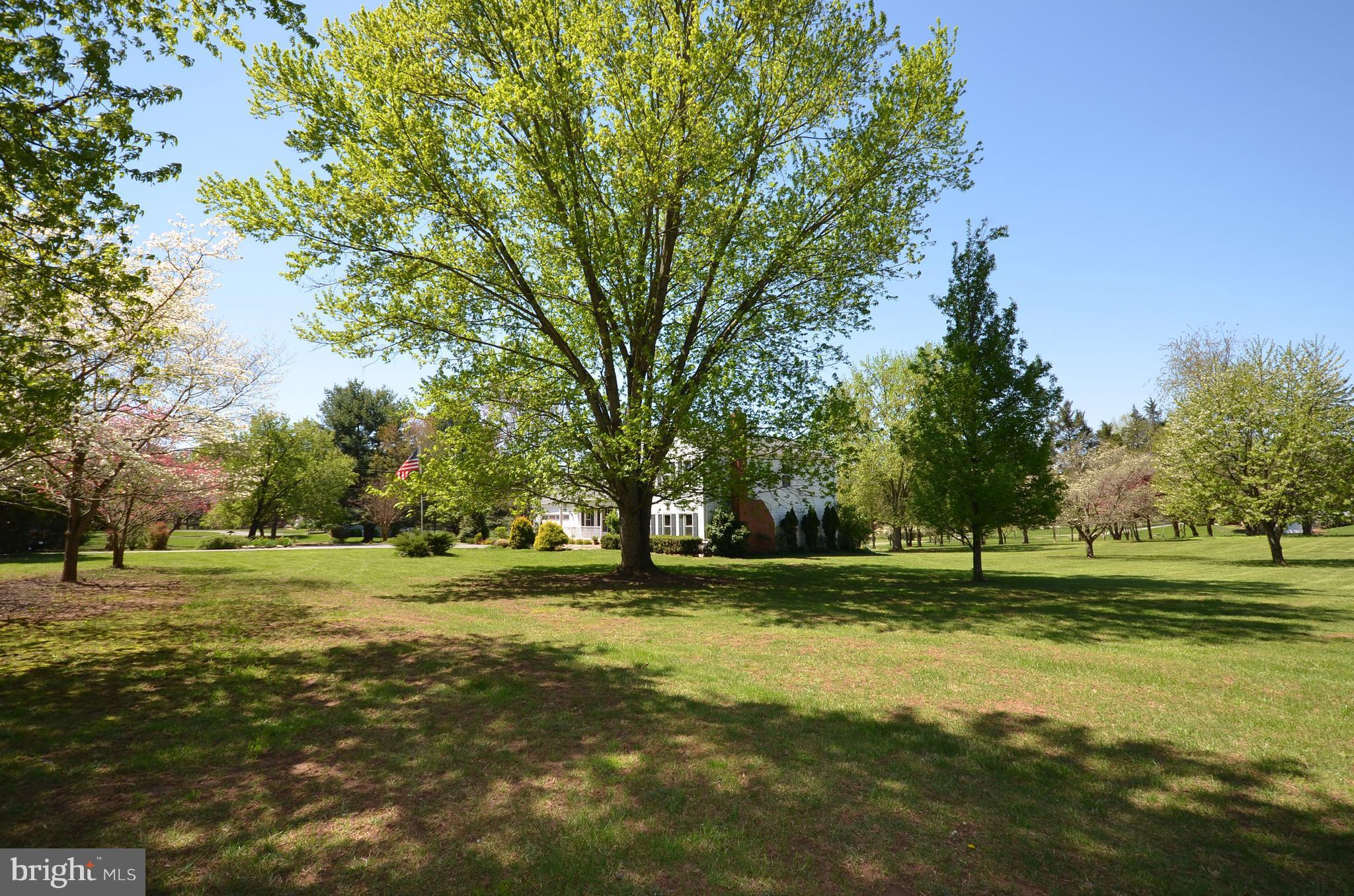 14490 Lightner Road Haymarket, VA 20169 - Photo 28 of 30 Front and Side Yard