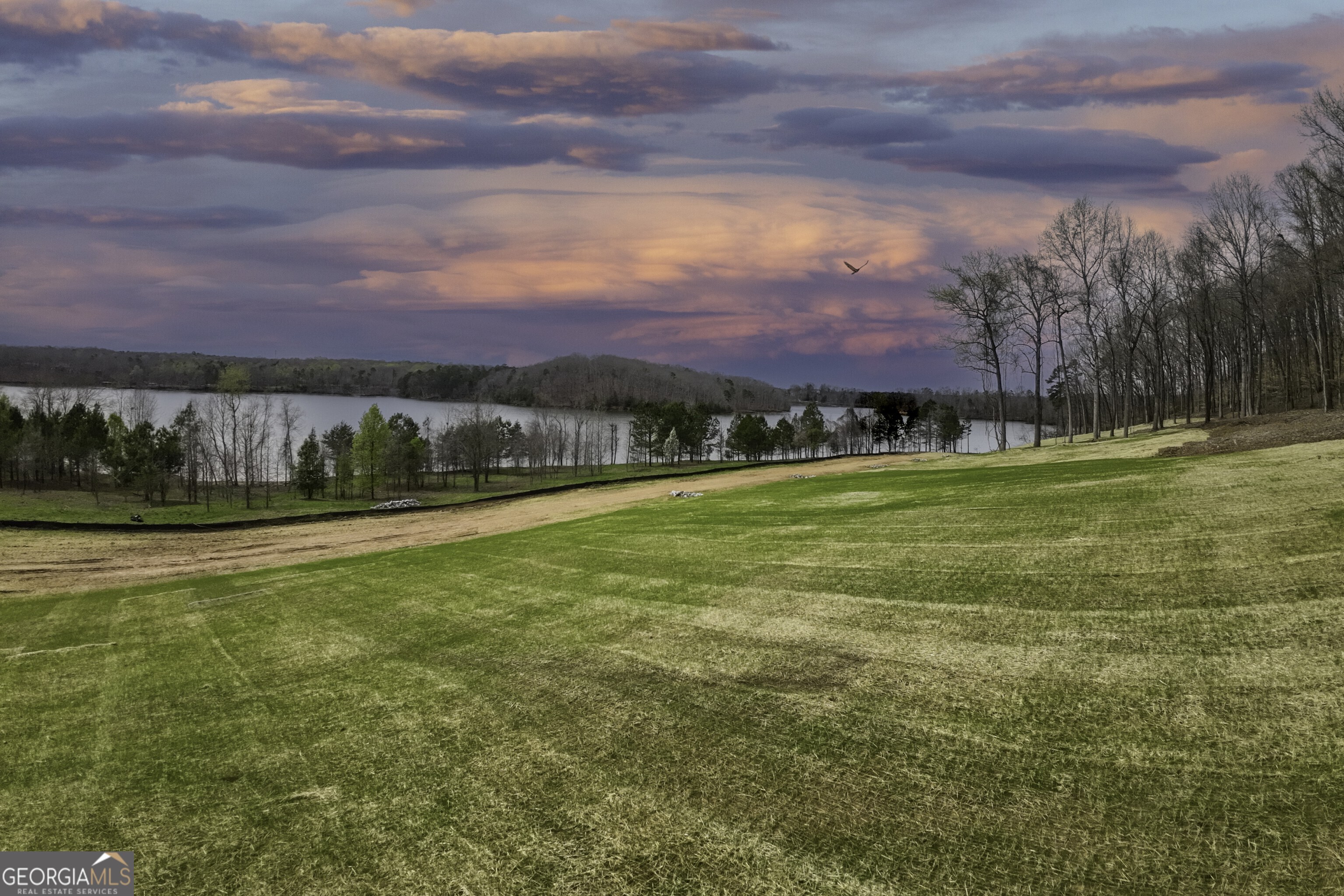 4540 Shirley Road, Unit LOT 15 Gainesville, GA 30506 - Photo 18 of 22 a view of a swimming pool with a yard