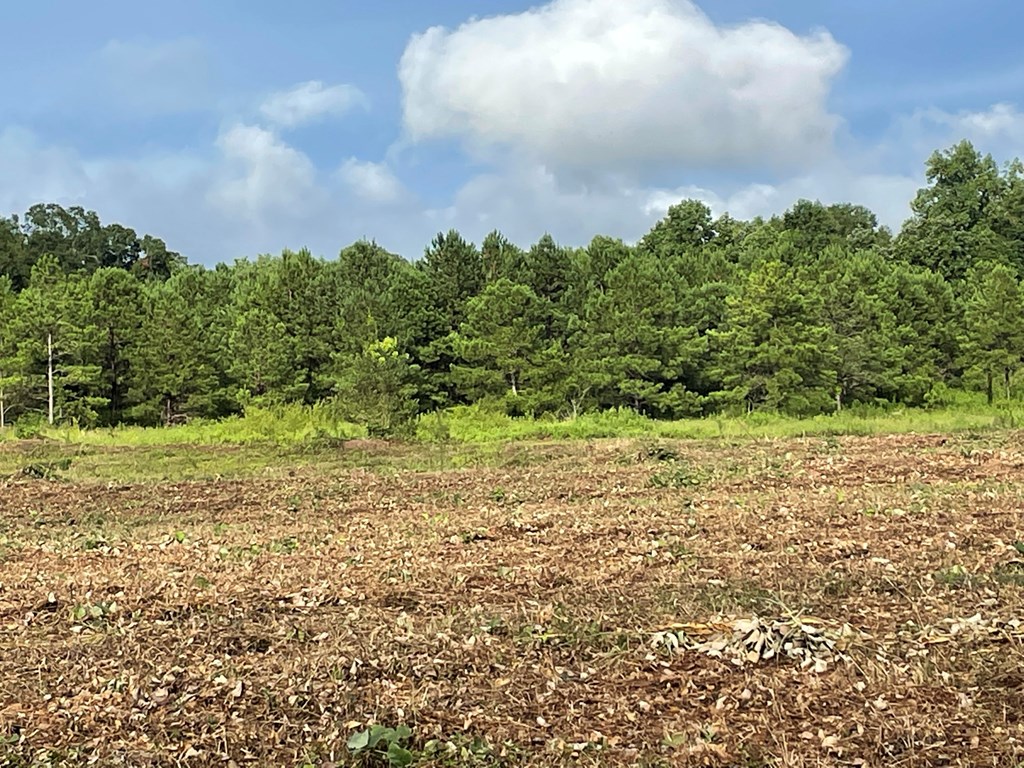 0 Iris Road Dothan, AL 36301 - Photo 7 of 12