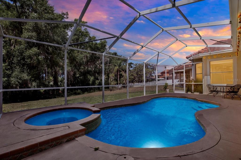 9137 Creedmoor Lane New Port Richey, FL 34654 - Photo 2 of 62