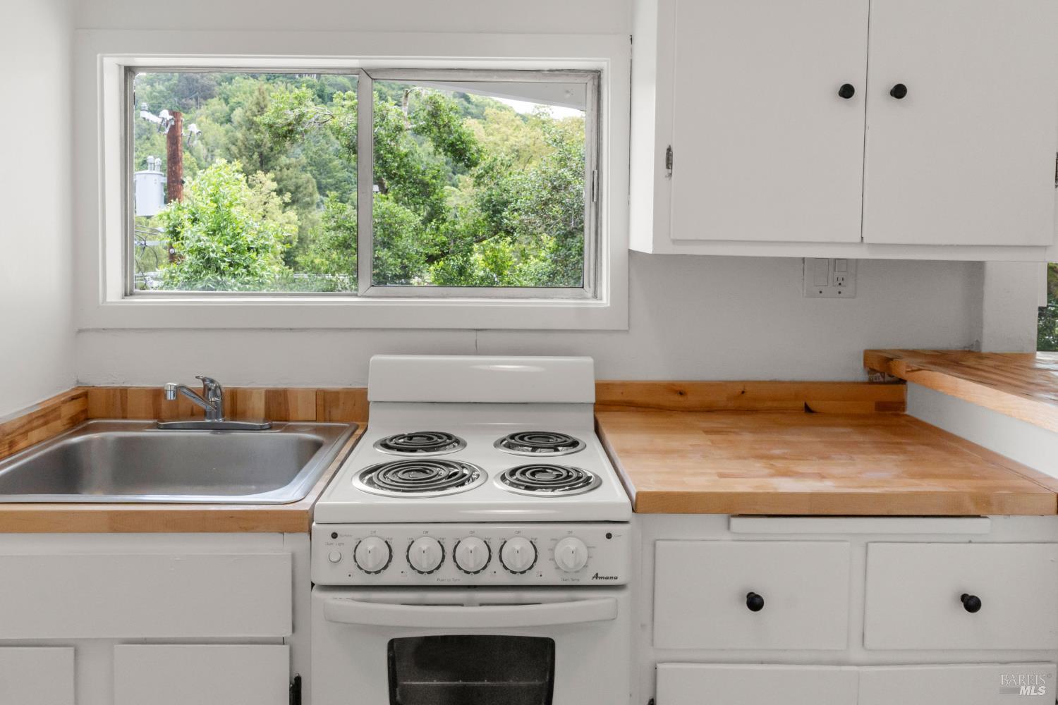 206 Bolinas Road Fairfax, CA 94930 - Photo 34 of 43 Studio kitchen with new butcher block counter tops.