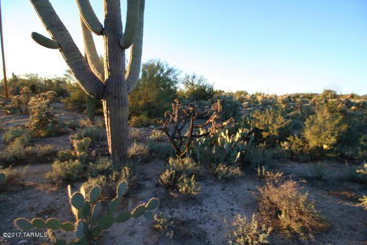 4950 West Oasis Road Tucson, AZ 85742 - Photo 4 of 9 Gallery Image 4