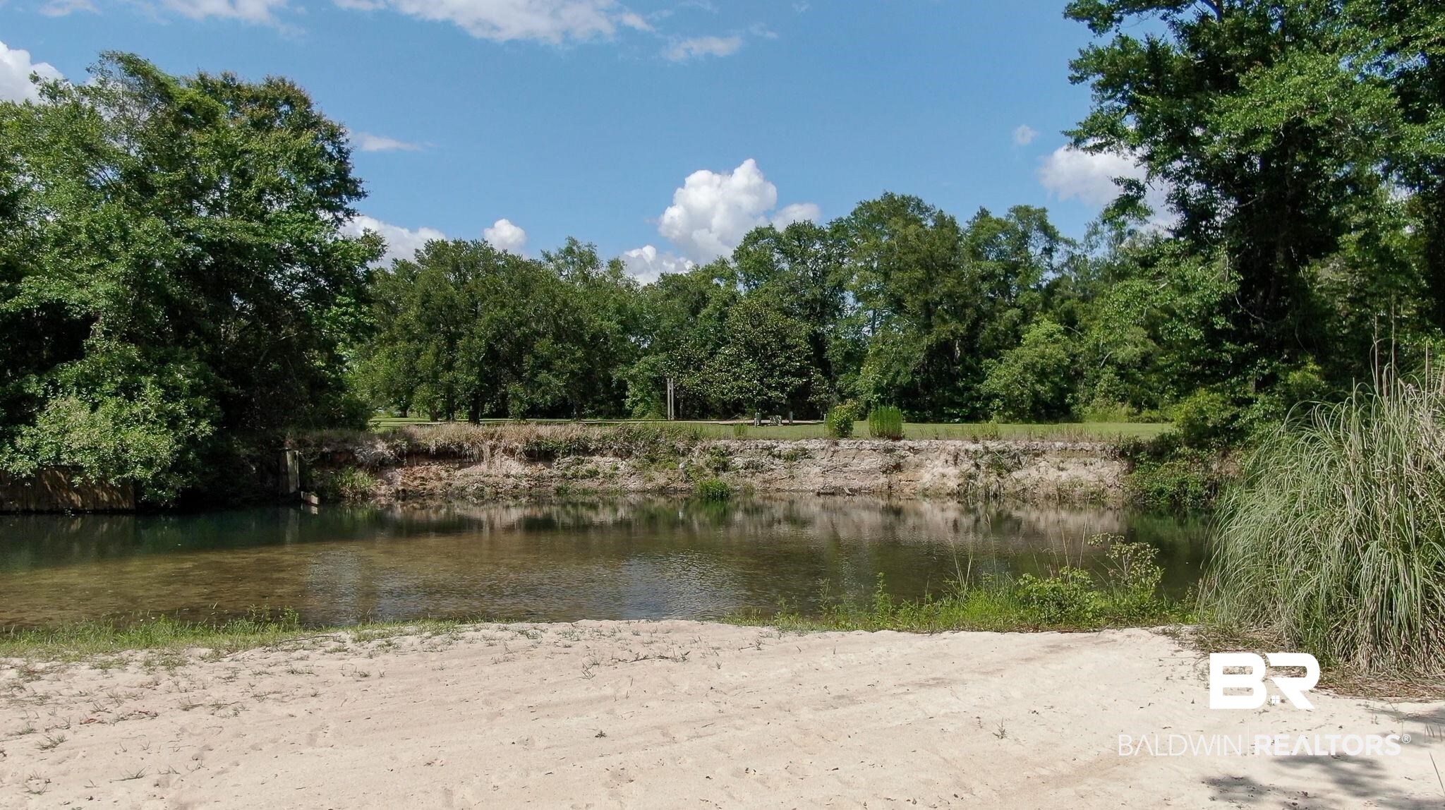0 Richards Lane Foley, AL 36535 - Photo 7 of 14