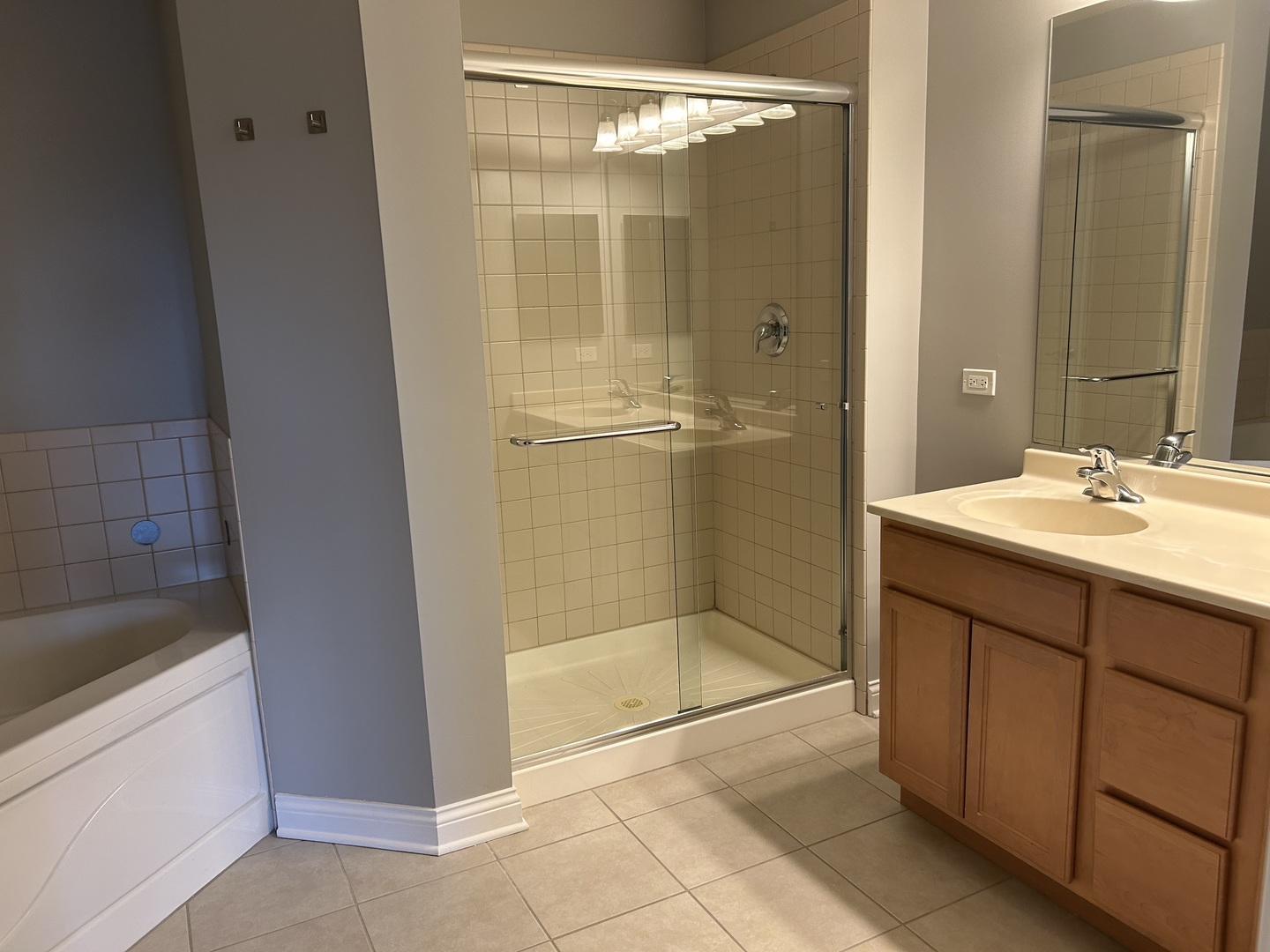 3400 North Old Arlington Heights Road, Unit 306 Arlington Heights, IL 60004 - Photo 7 of 10 a bathroom with a shower sink and mirror